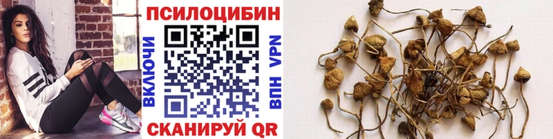 Псилоцибиновые грибы MAGIC MUSHROOMS  Брянск 