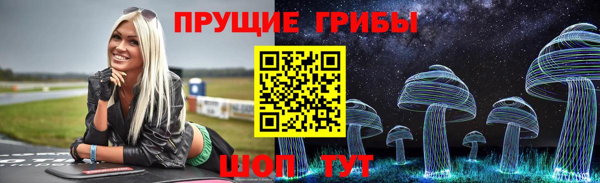 Бошки Шишки Брянск