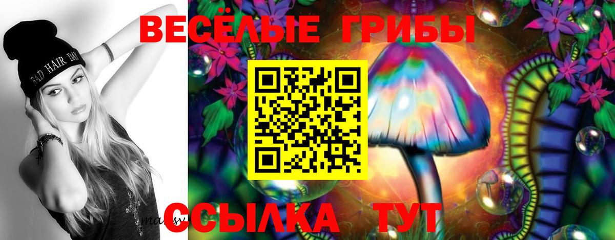 Псилоцибиновые грибы Psilocybe  Вход с VPN  Брянск 