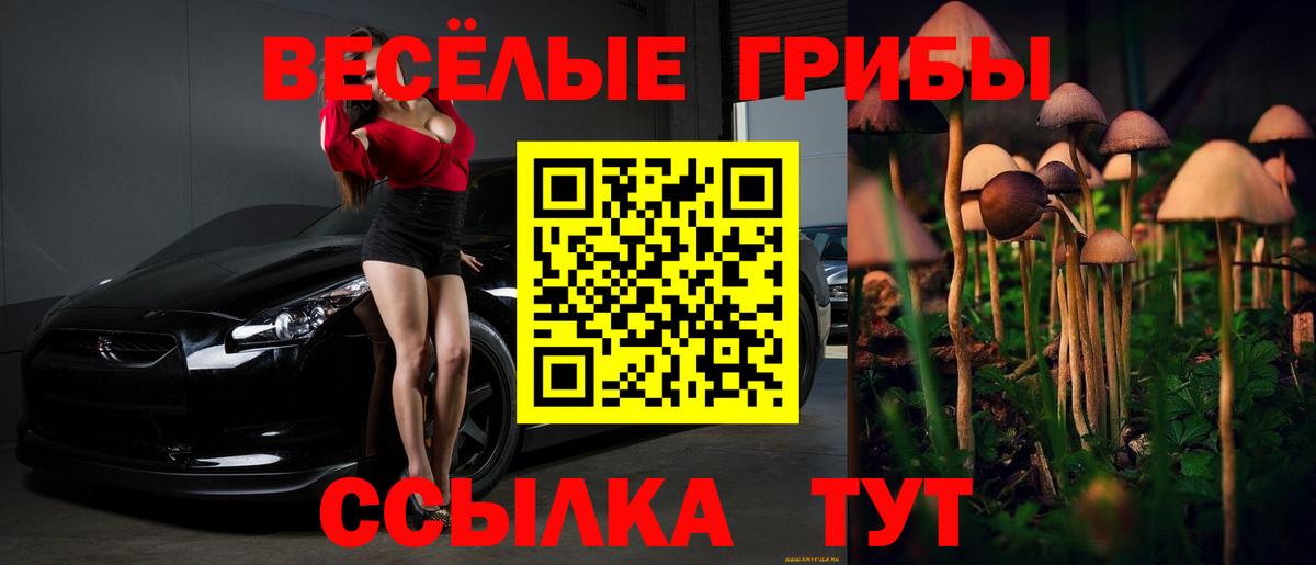 Галлюциногенные грибы Magic Shrooms Брянск